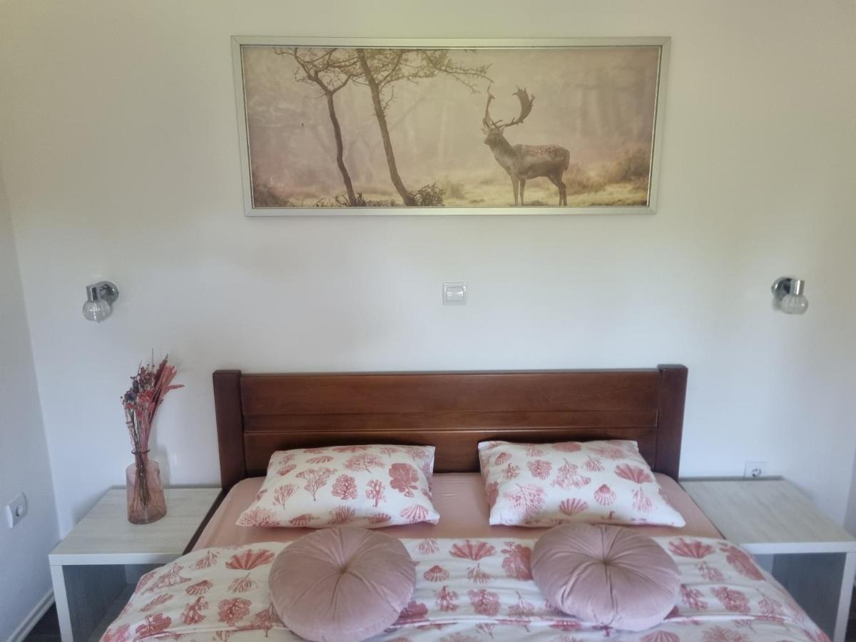 4 Seasons Guest House Rakovica Dış mekan fotoğraf